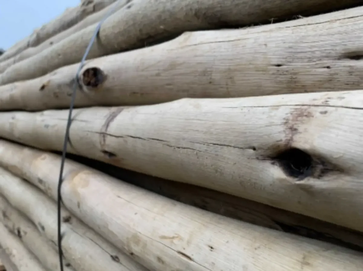 Eucalyptus Wooden Pole Set – for 10×17 m Tension Tent