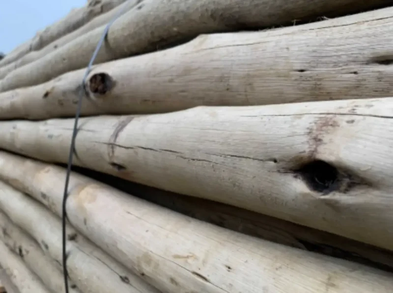 image - 2025-02-18T151445.249