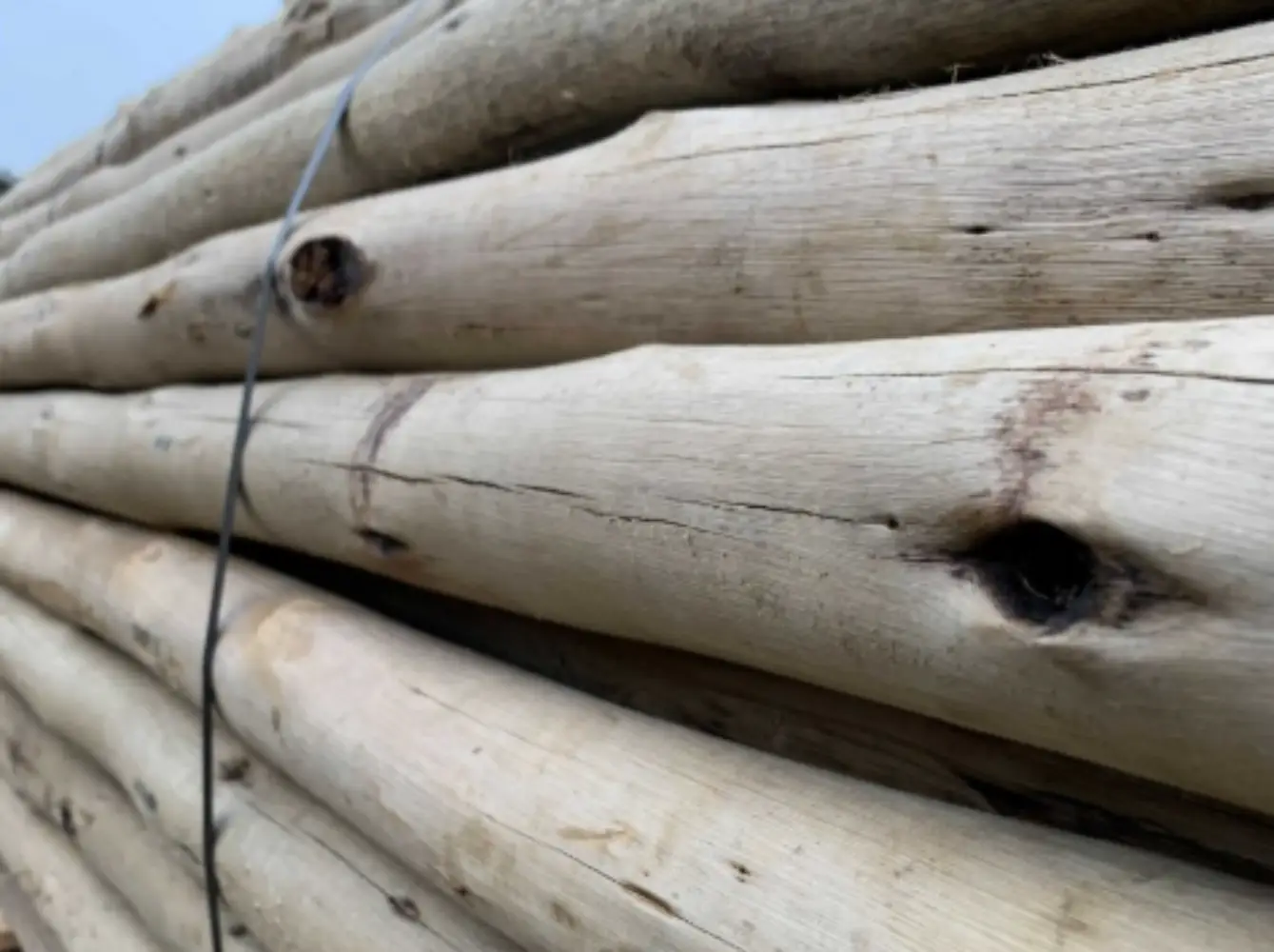 Eucalyptus Houten Palenset – voor Stretchtent 10×15 m