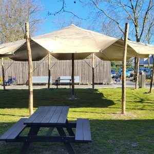 20250318_140646-scaled